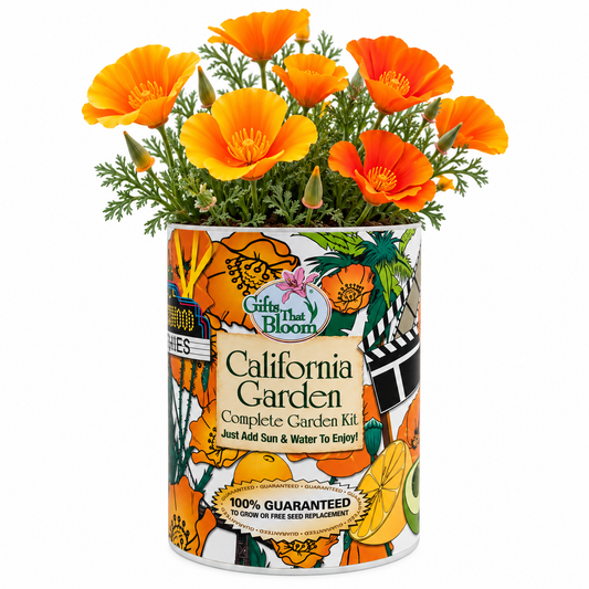 California Garden Grocan Seed Kit