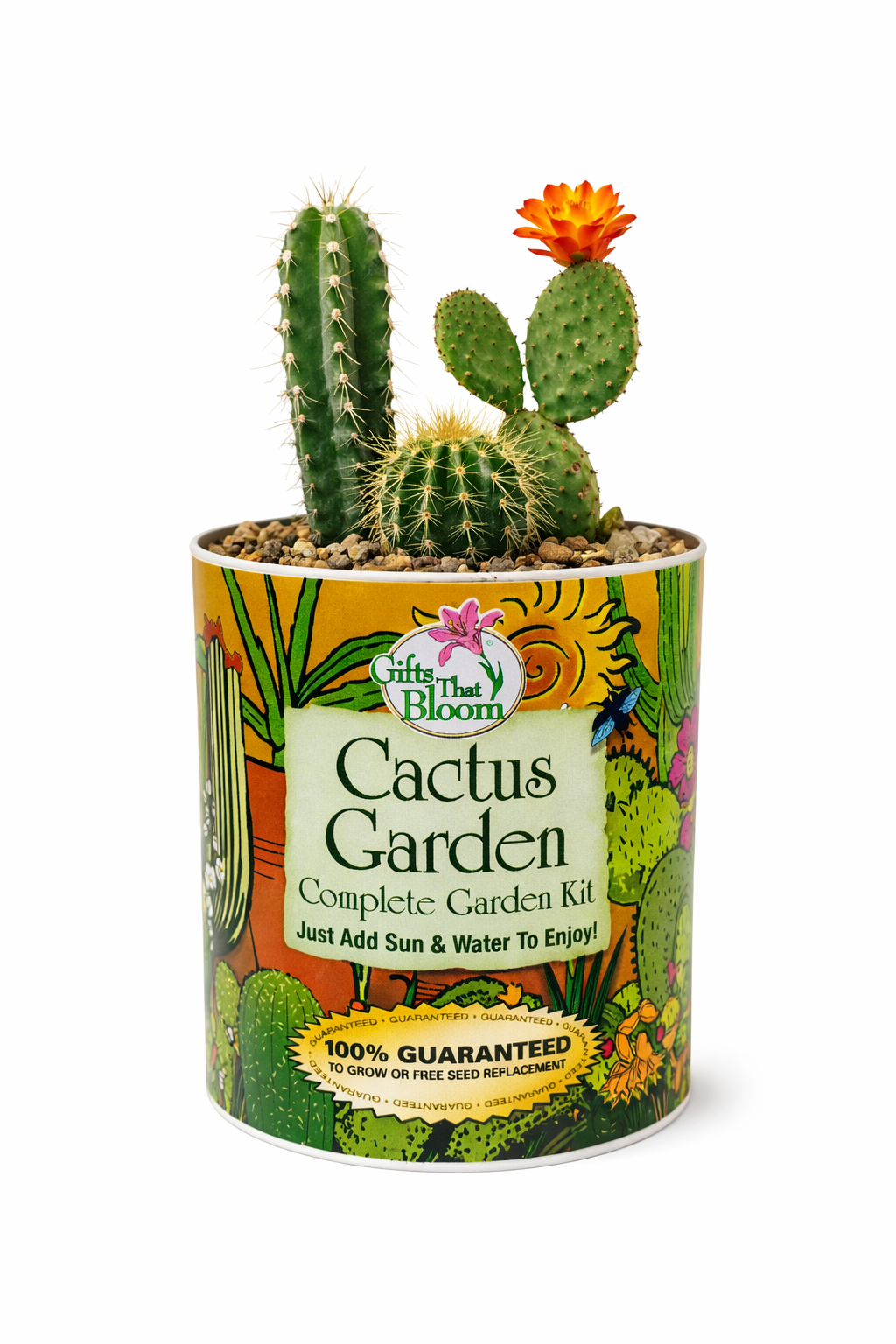 Cactus Garden Grocan Seed Kit
