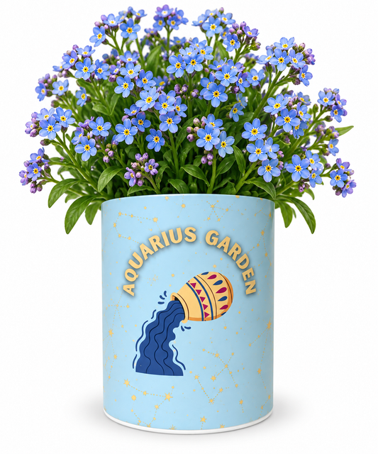 Aquarius Zodiac Garden Grocan Seed Kit
