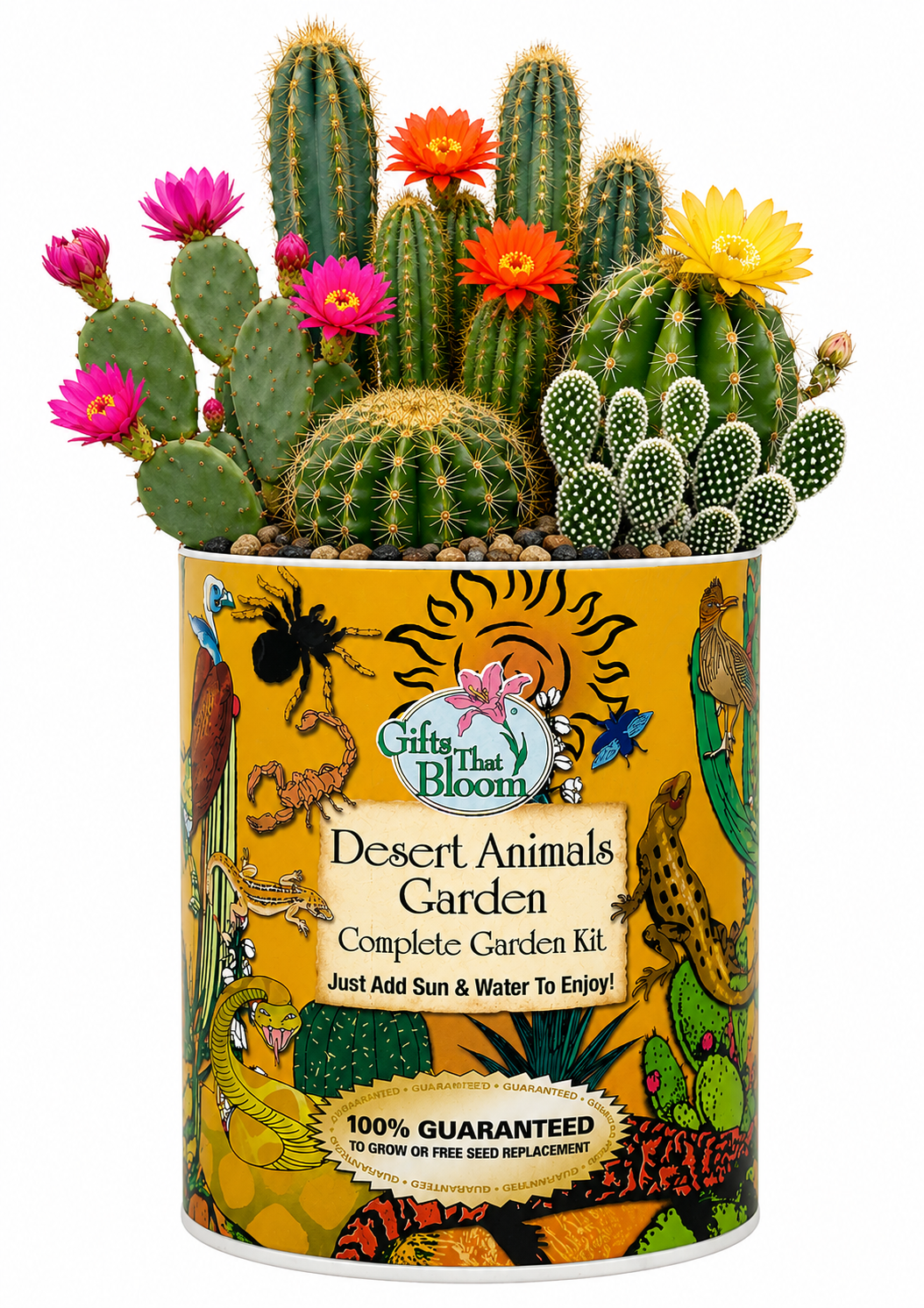 Desert Animals Garden Grocan Seed Kit