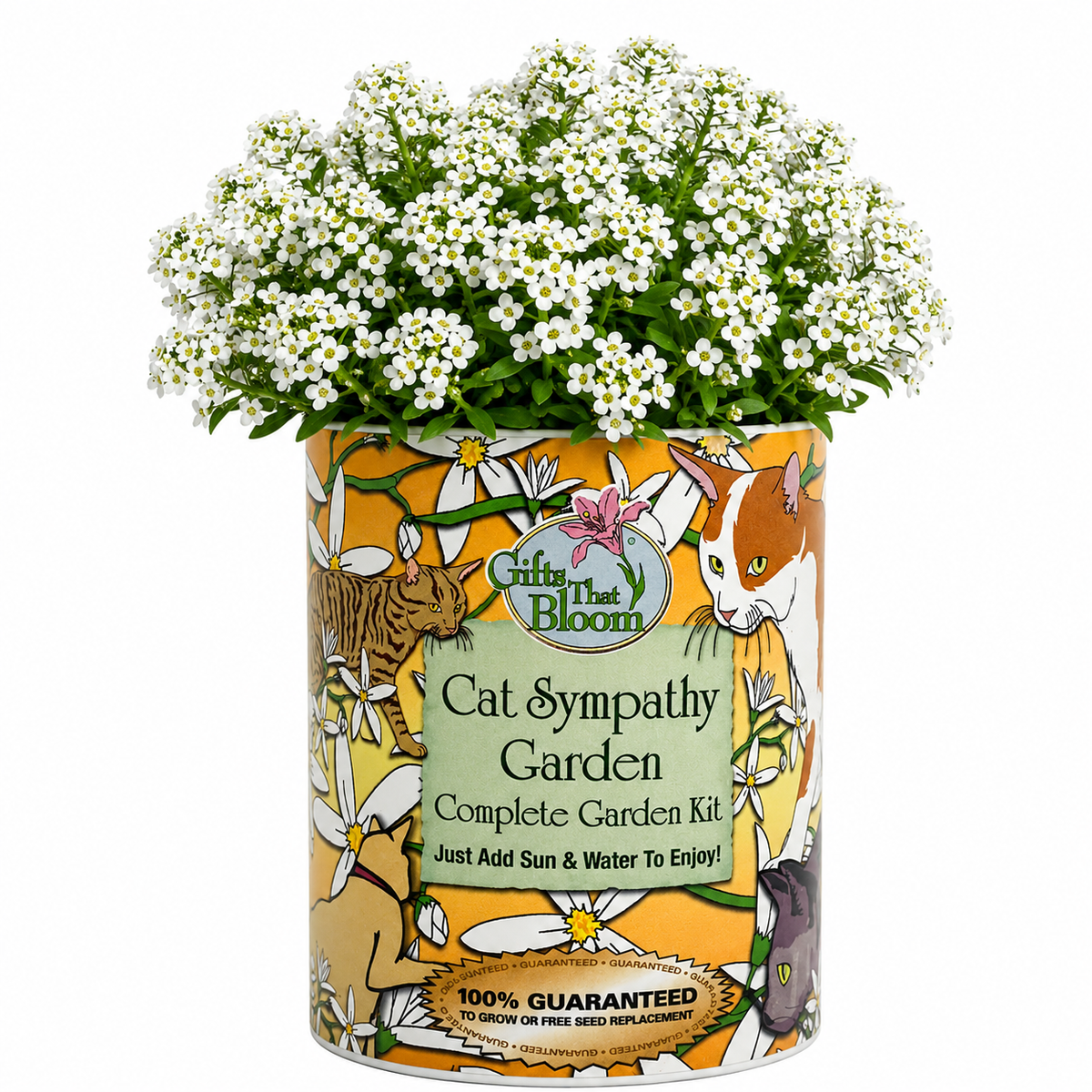 Cat Sympathy Garden Grocan Seed Kit