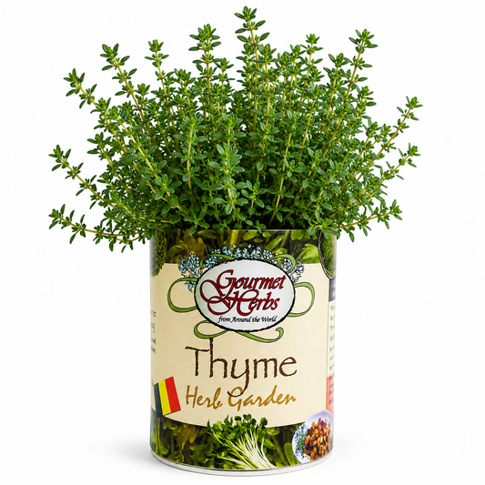 Thyme Herb Garden Grocan Seed Kit