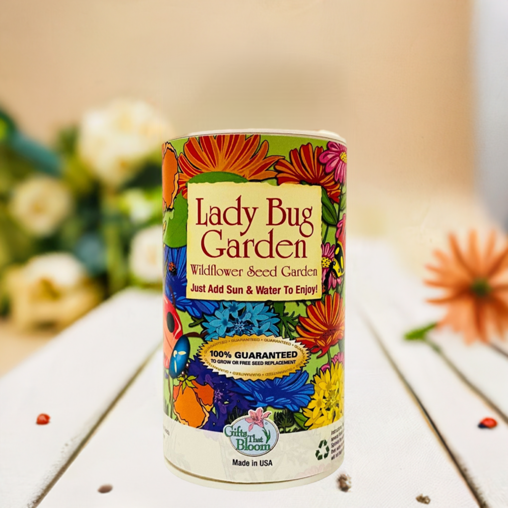 Lady Bug Garden Shaker Can Seed Kit