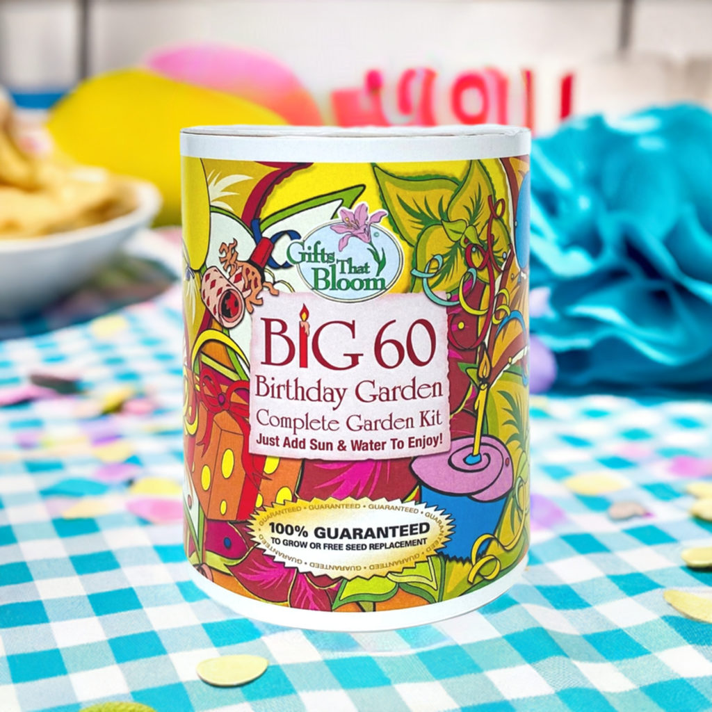 Big 60 Birthday Garden Grocan Seed Kit