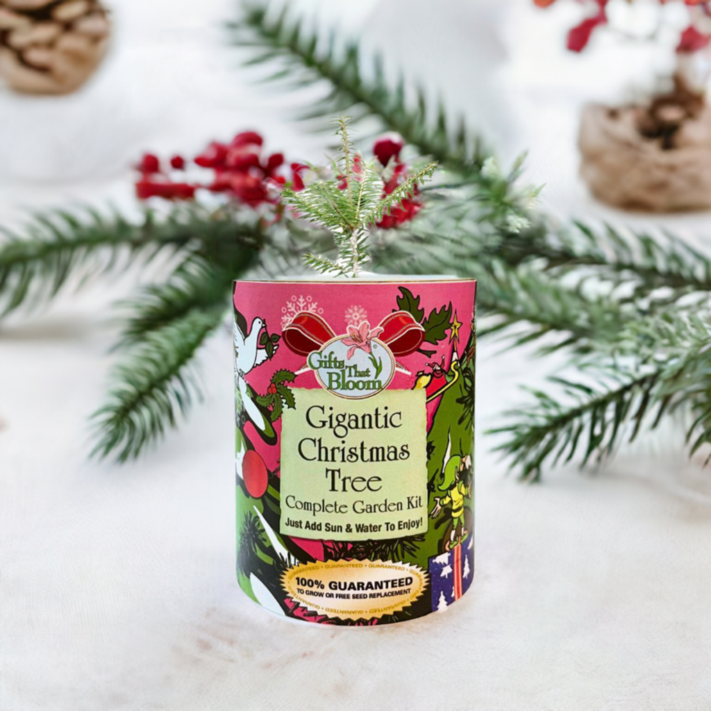 Gigantic Christmas Tree Garden Grocan Seed Kit
