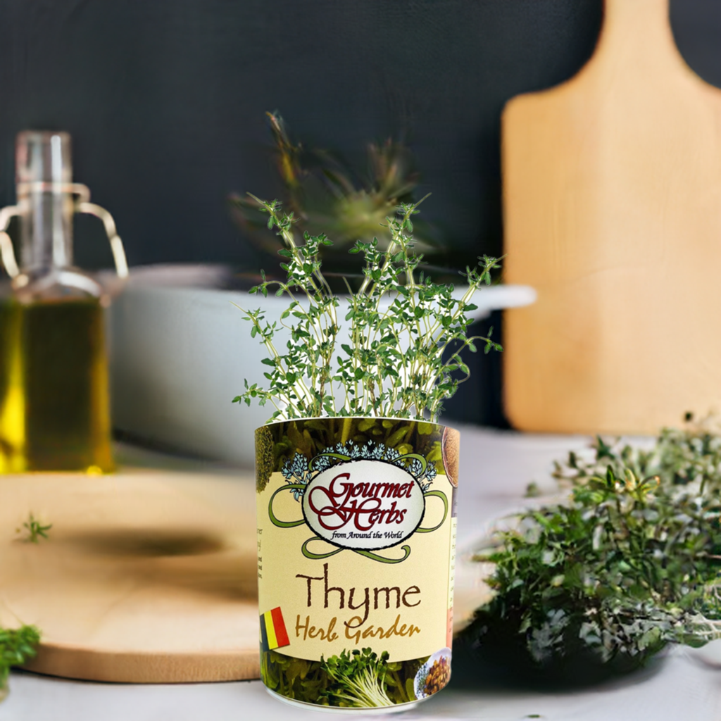 Thyme Herb Garden Grocan Seed Kit