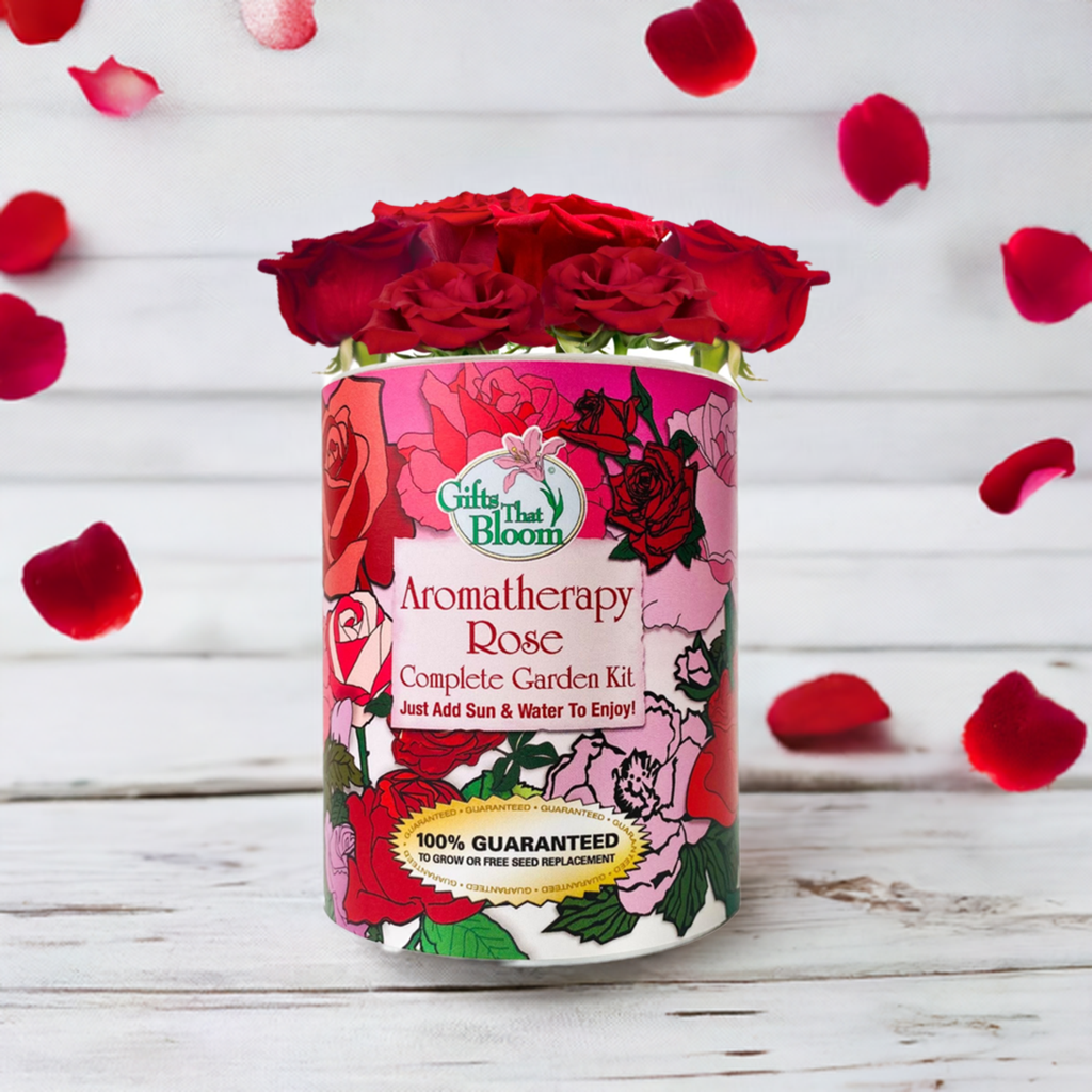 Aromatherapy Rose Garden Grocan Seed Kit