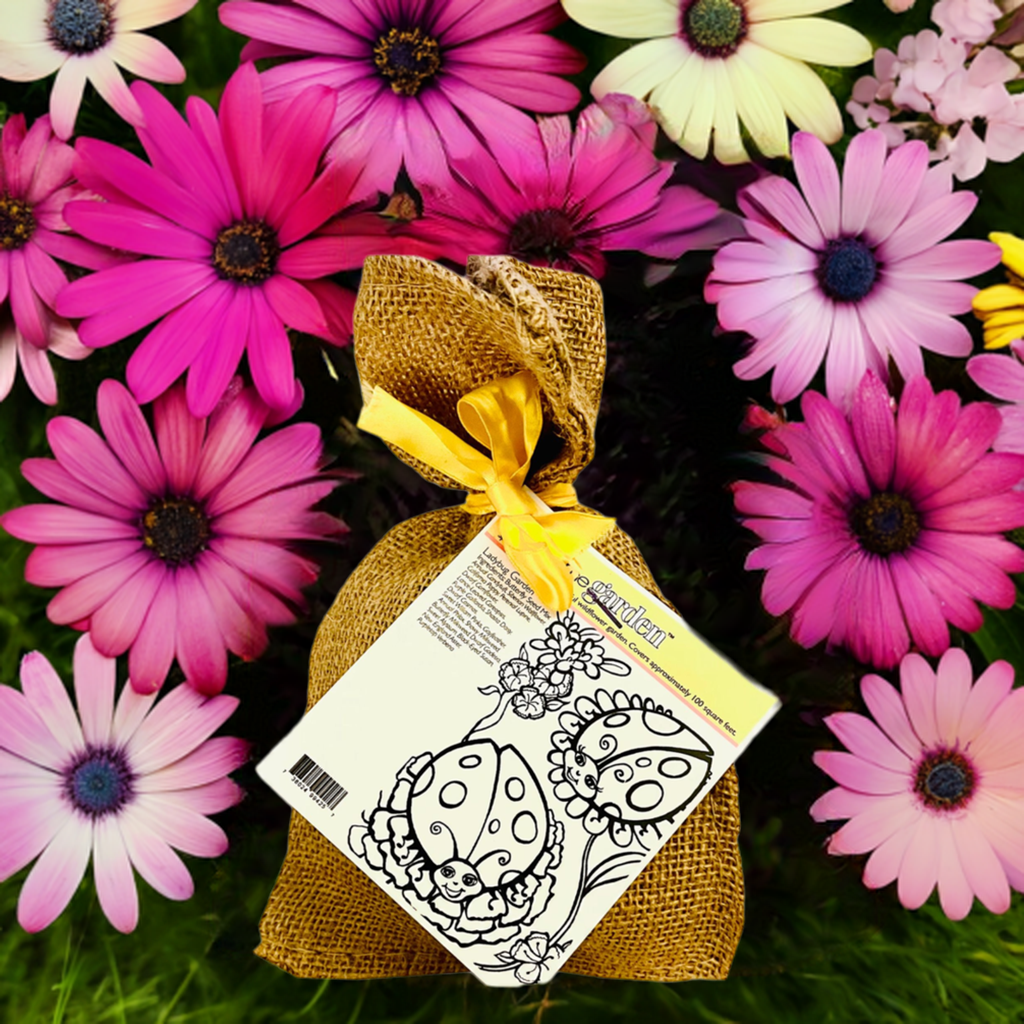 Lady Bug  Color-Me-Garden Seed Kit in Burlap Bag
