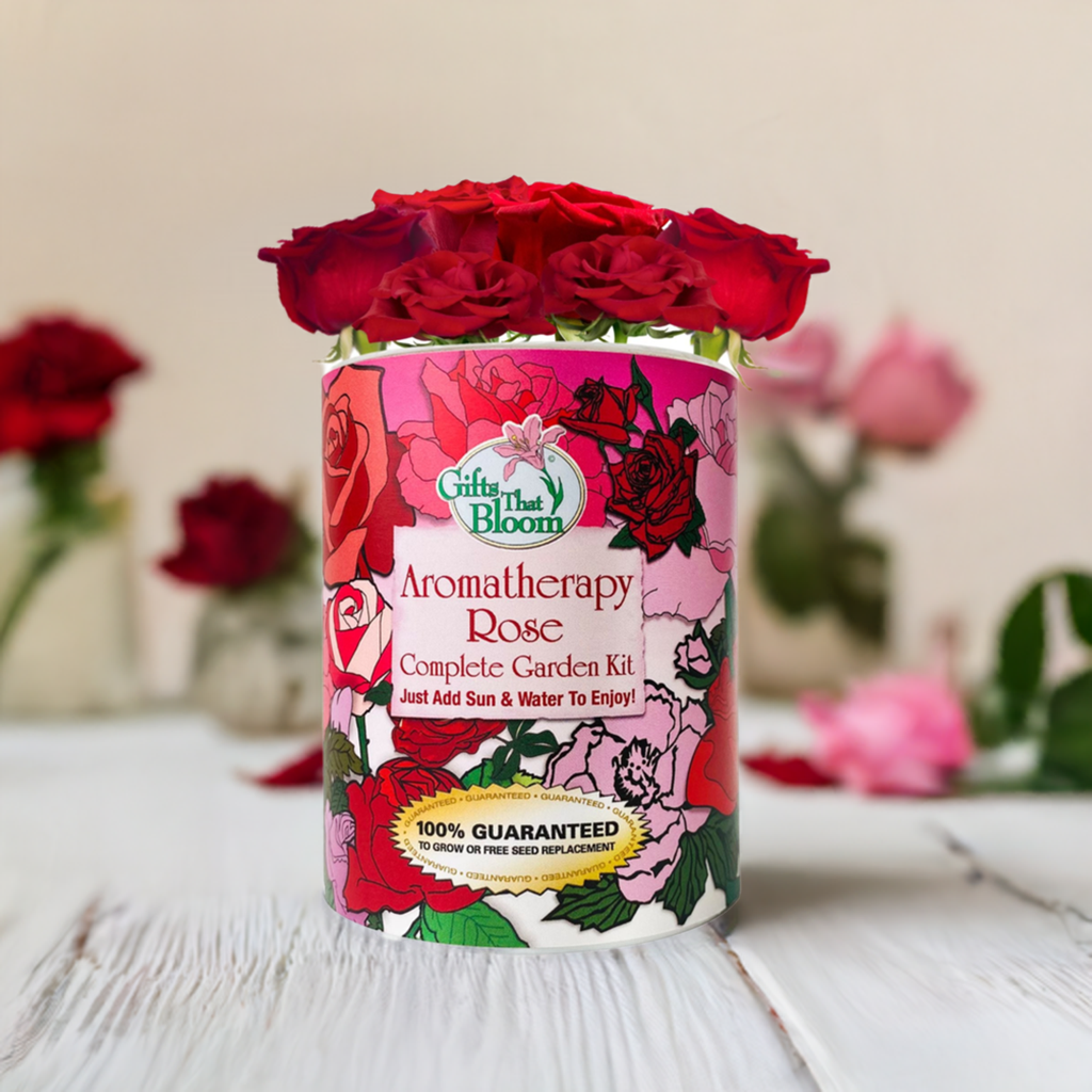 Aromatherapy Rose Garden Grocan Seed Kit
