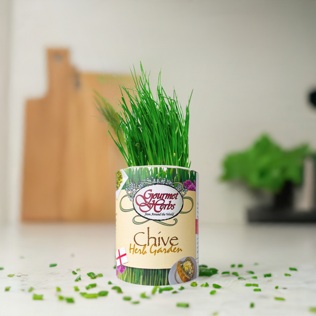 Chive Herb Garden Grocan Seed Kit