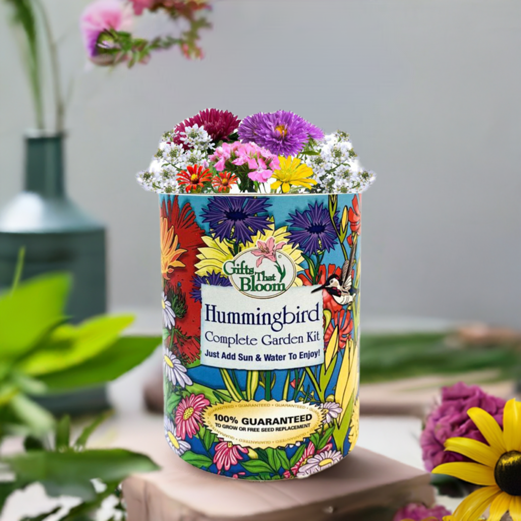 Hummingbird Garden Grocan Seed Kit