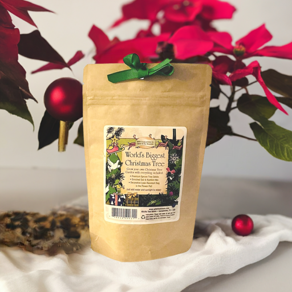 World's Biggest Christmas Tree Garden Grobag Seed Kit