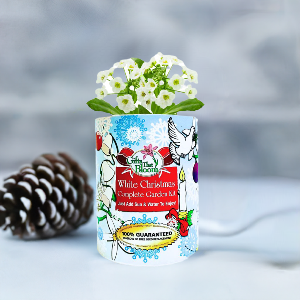 White Christmas Garden Grocan Seed Kit