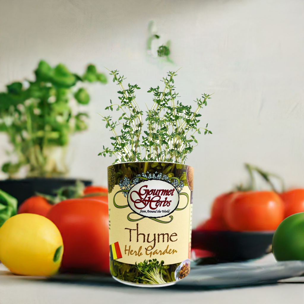 Thyme Herb Garden Grocan Seed Kit