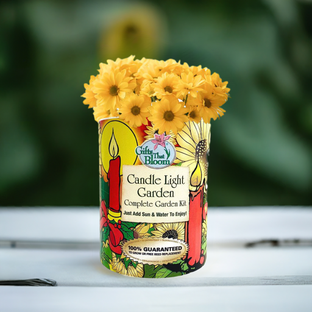 candles with seeds to plant Candle Light Garden Grocan Seed kit – Gifts That Bloom