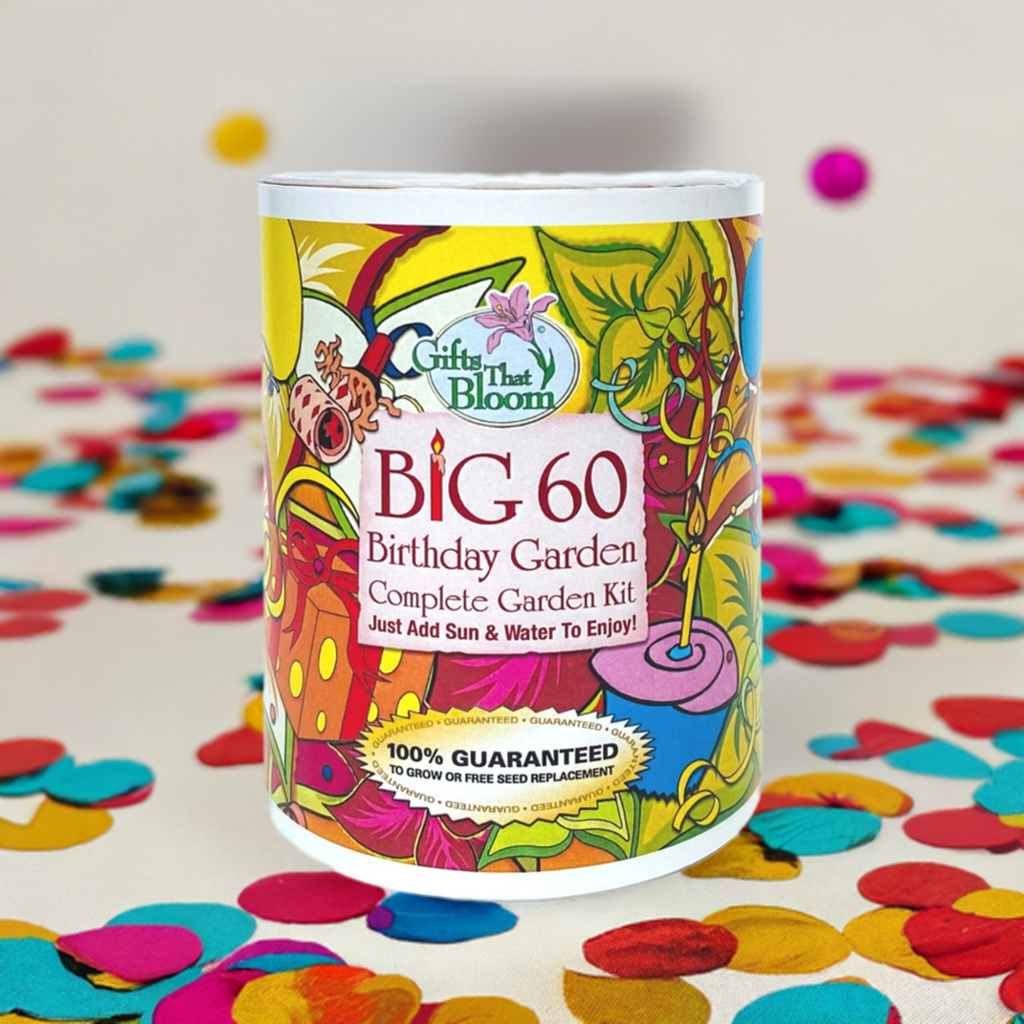 Big 60 Birthday Garden Grocan Seed Kit