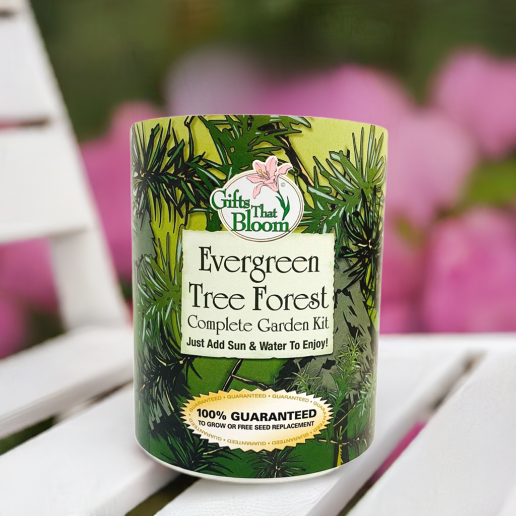 Evergreen Tree Forest Garden Grocan Seed Kit