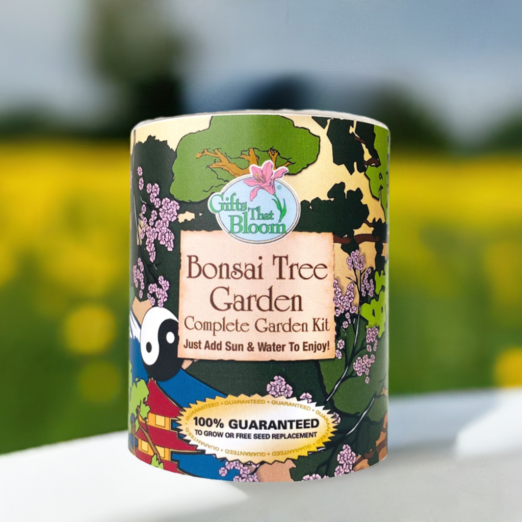 Bonsai Tree Garden Grocan Seed kit