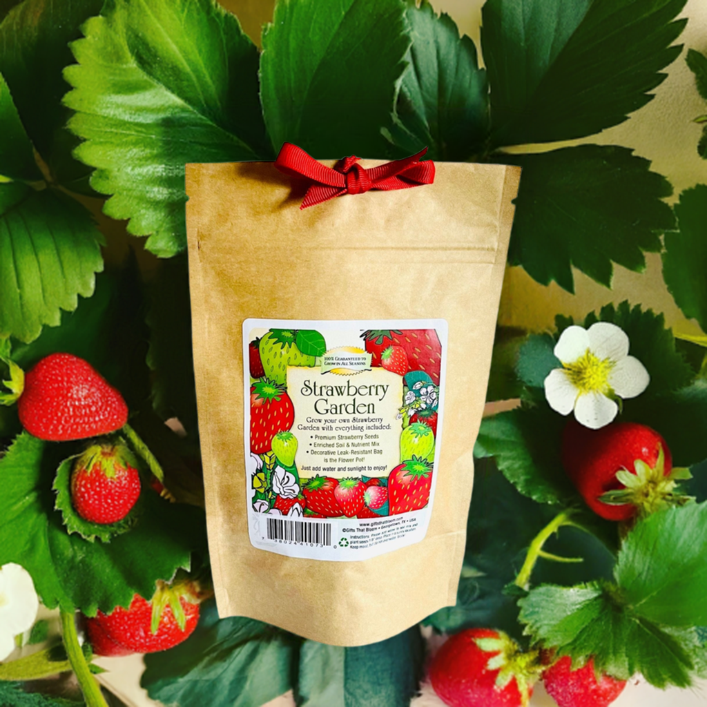 Strawberry Garden Grobag Seed Kit