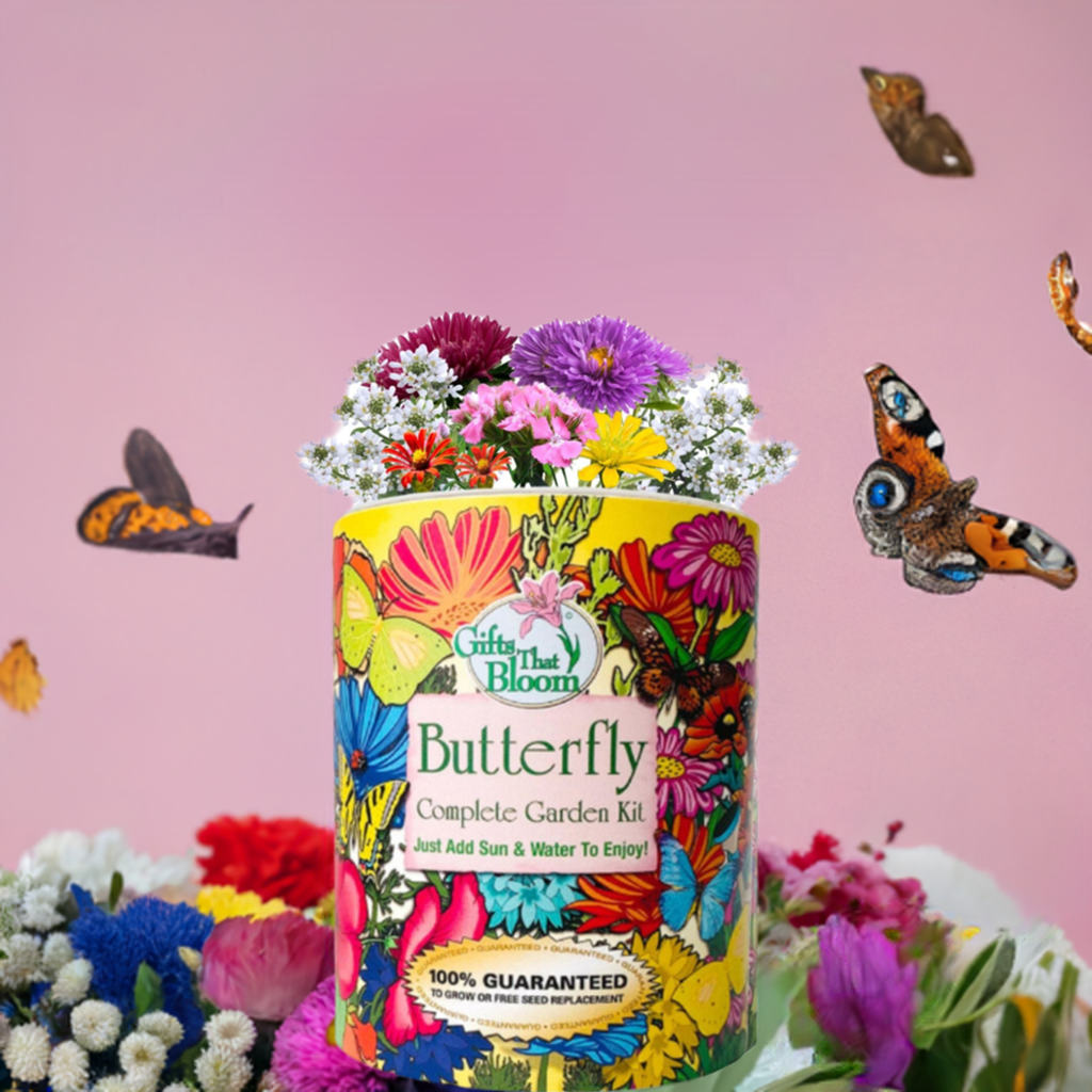 butterfly garden seed Gifts That Bloom Butterflygc Butterfly Garden Grocan