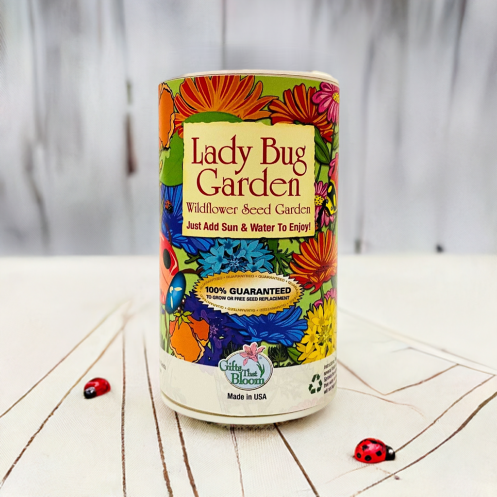 Lady Bug Garden Shaker Can Seed Kit
