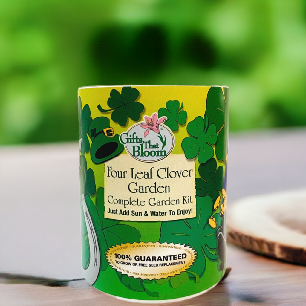 Four Leaf Clover Garden Grocan seed kit
