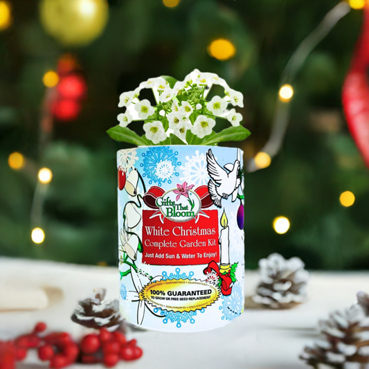 White Christmas Garden Grocan Seed Kit
