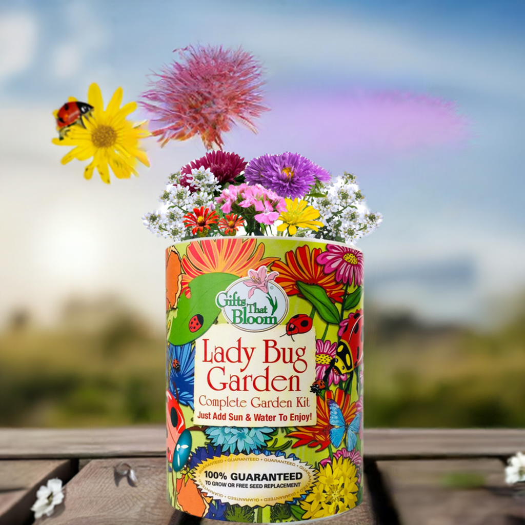 seed garden kit Gifts That Bloom Ladybuggc Lady Bug Garden Grocan