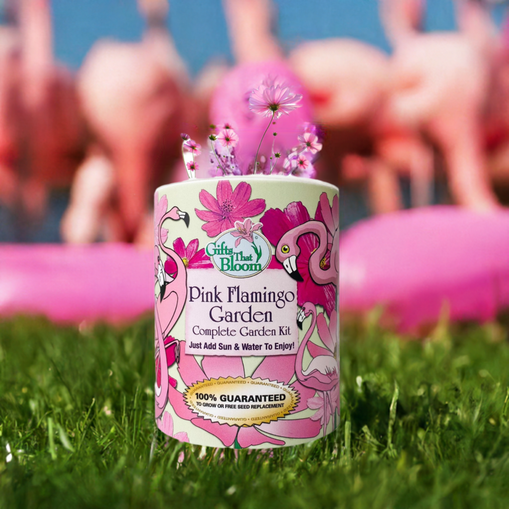 Pink Flamingo Garden Grocan Seed Kit