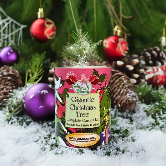 Gigantic Christmas Tree Garden Grocan Seed Kit