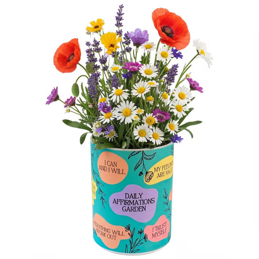 Daily Affirmations Garden Grocan Seed Kit