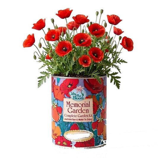 Memorial Garden Grocan Seed Kit