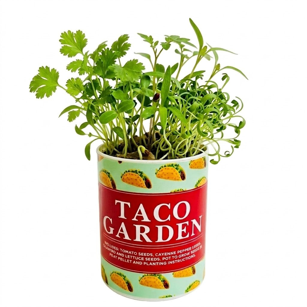 Taco Garden Grocan Seed Kit