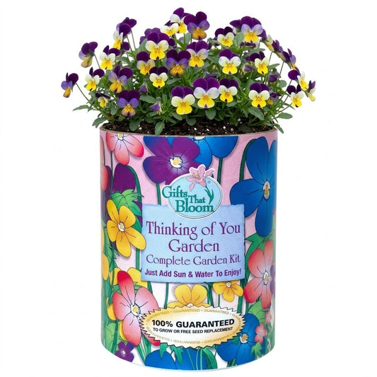 Thinking of You Garden Grocan Seed Kit