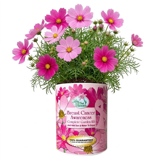 Breast Cancer Awareness Garden Grocan Seed Kit