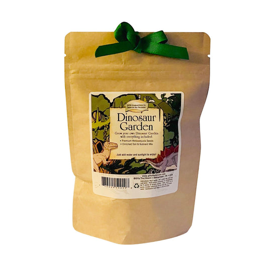 Dinosaur Garden Grobag Seed Kit