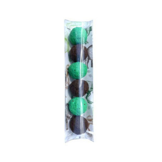 Seed Bombs with Dinosaur Background